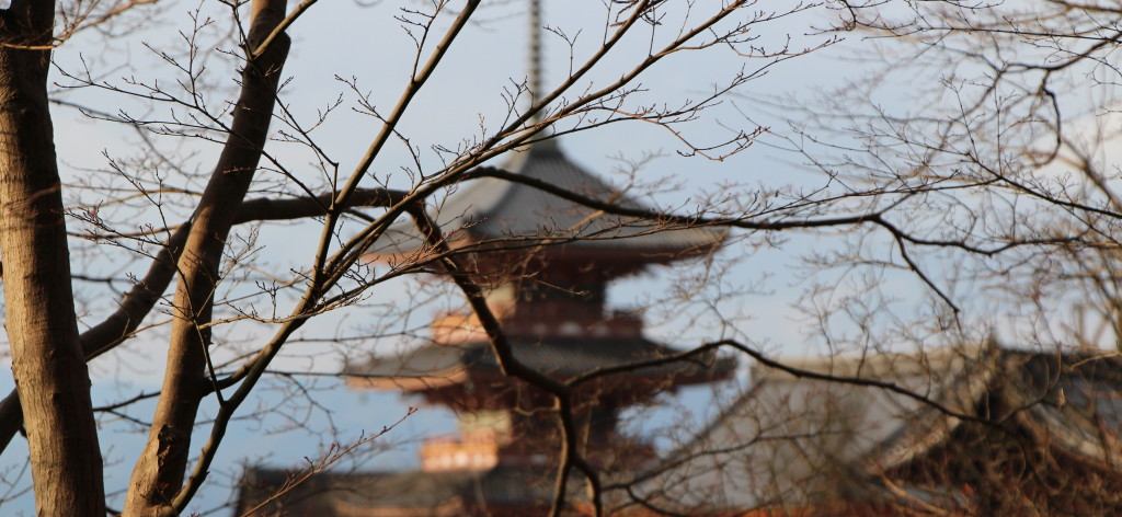 Pagoda in Kyoto