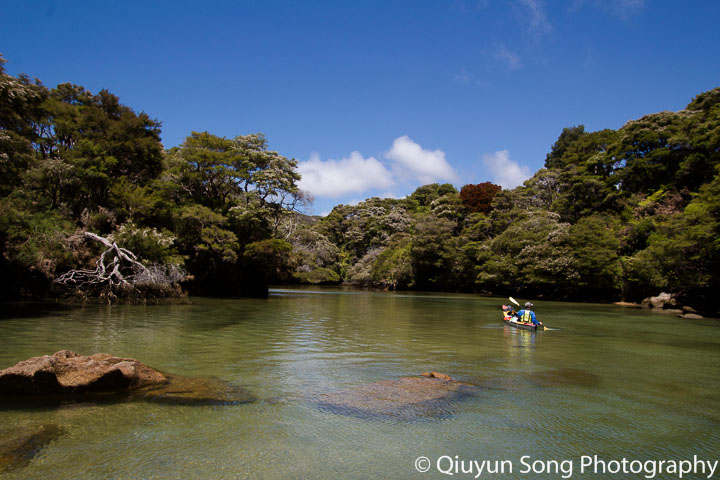 Abel Tasman Kayaking Shag Harbor