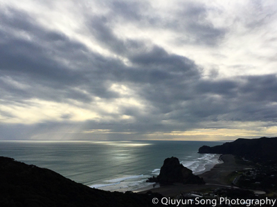 New Zealand Auckland Piha Beach-0329