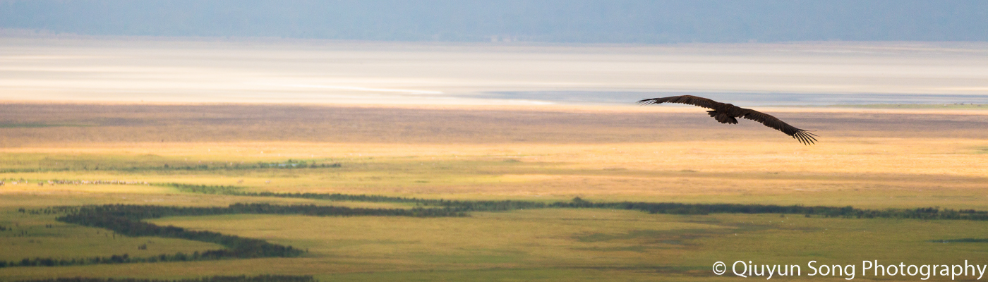 Going Into My Third Year At Grab