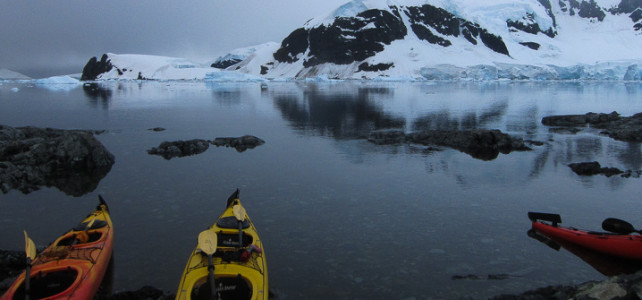 Kayaking in Paradise Harbor