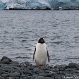 How to Become CEO of Your Life