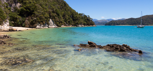 Abel Tasman