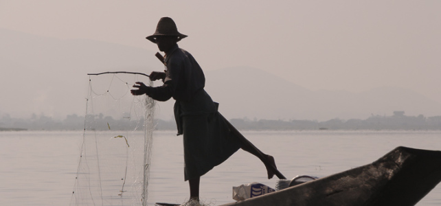 Inle Lake Fisherman